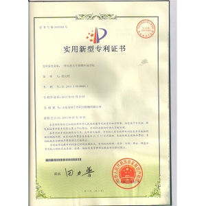 专利