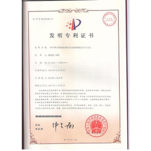 专利
